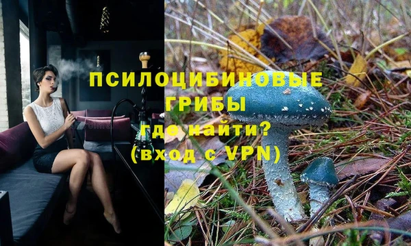соль ск Пролетарск