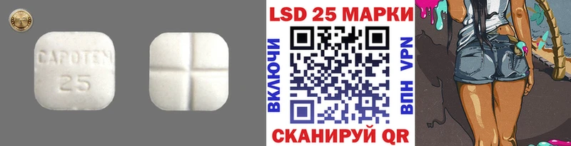 как найти   Светогорск  Лсд 25 экстази ecstasy 