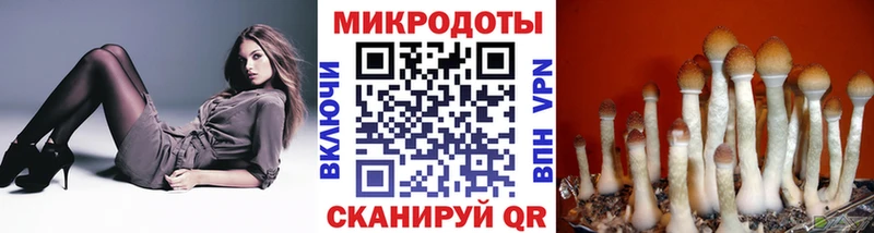 Галлюциногенные грибы GOLDEN TEACHER Светогорск